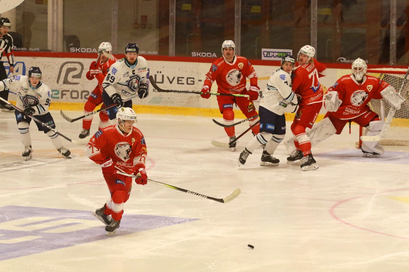 DVTK Jegesmedvék - FEHA19 