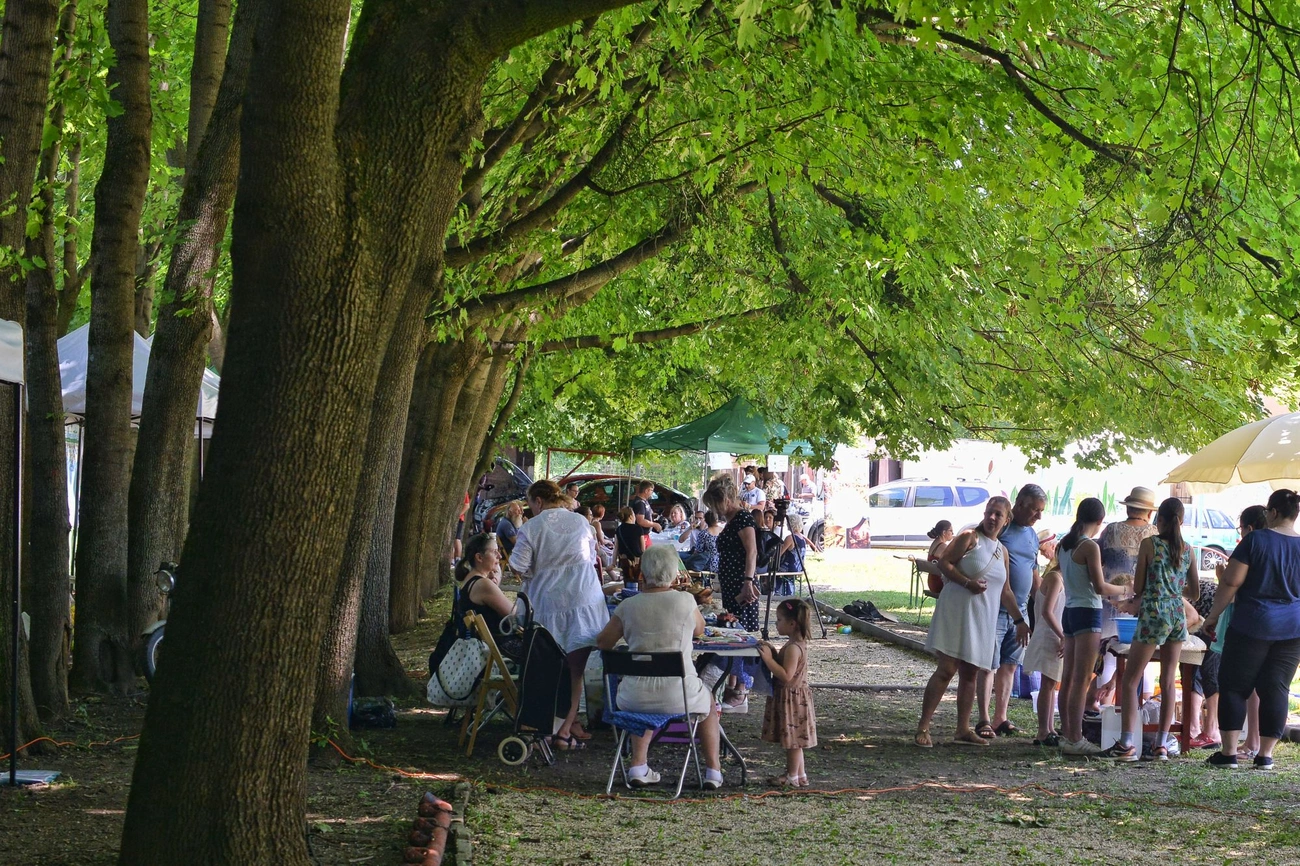 Észak-Kilián Juniális