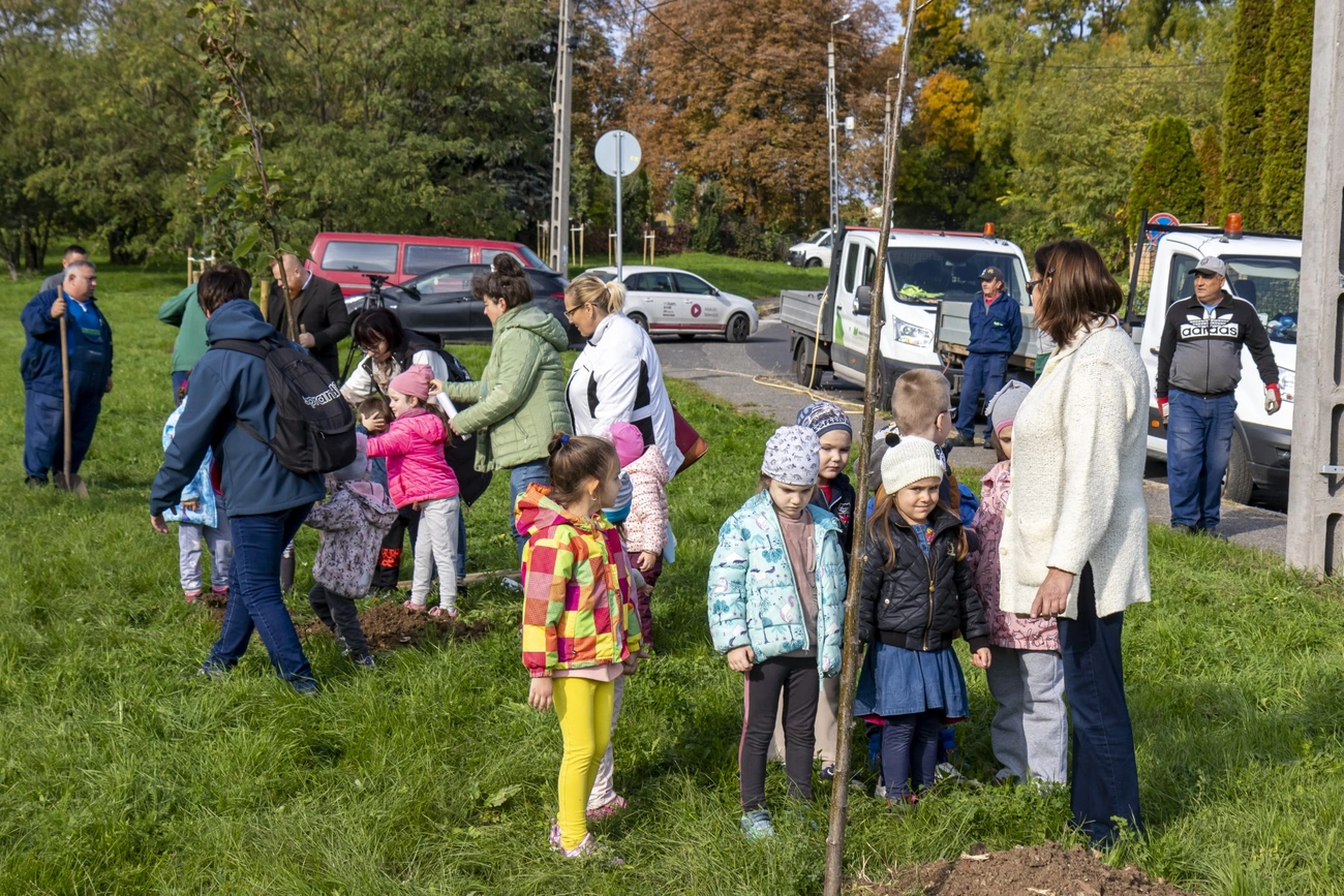 Faültetés a Vologdán 