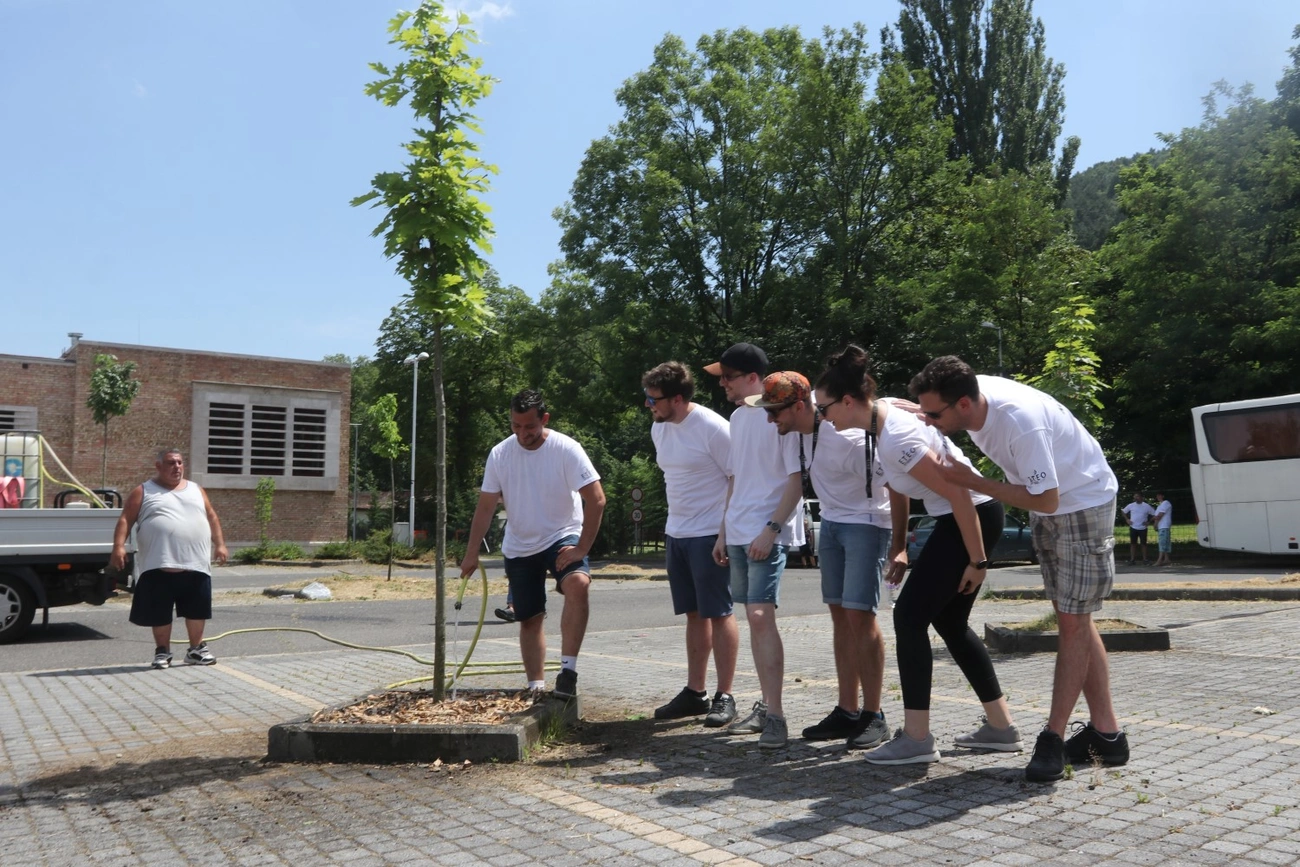 Faültetés a Lovagi Tornák terén 