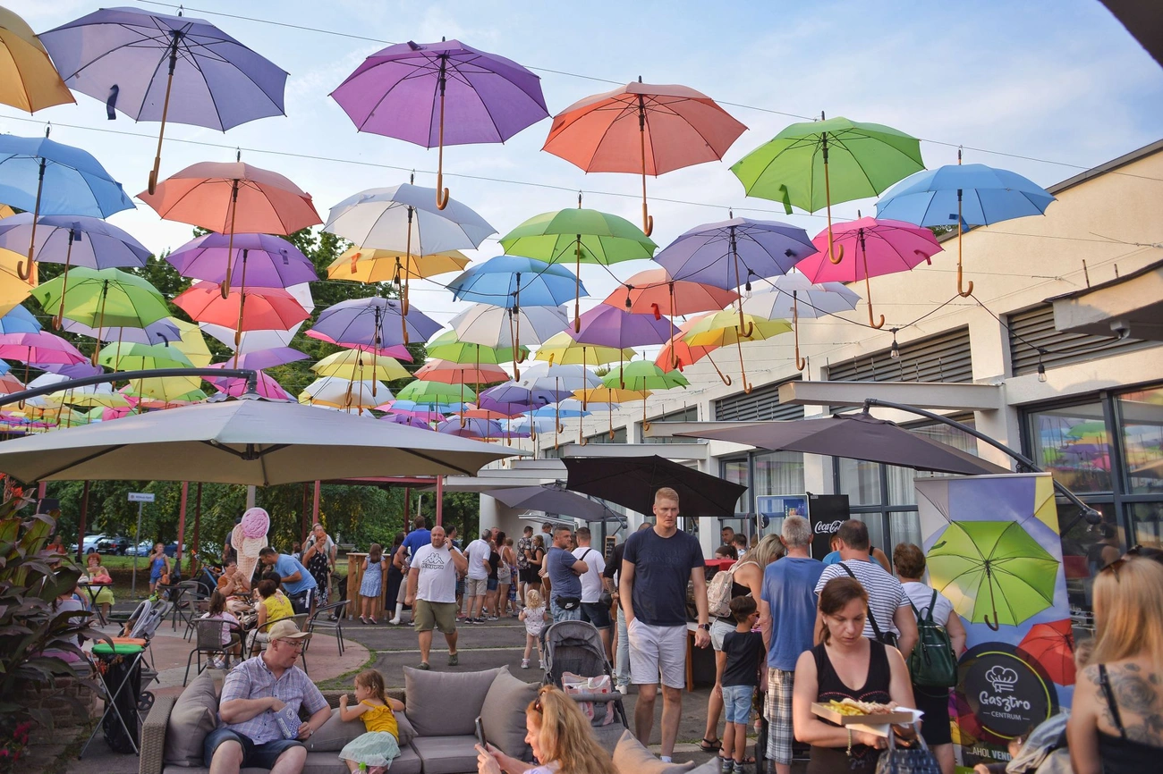 Gasztro piknik
