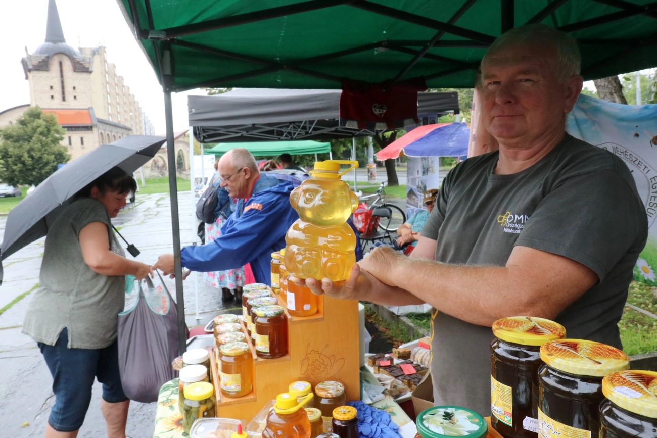 Győri kapui zsibvásár és kézműves nap 