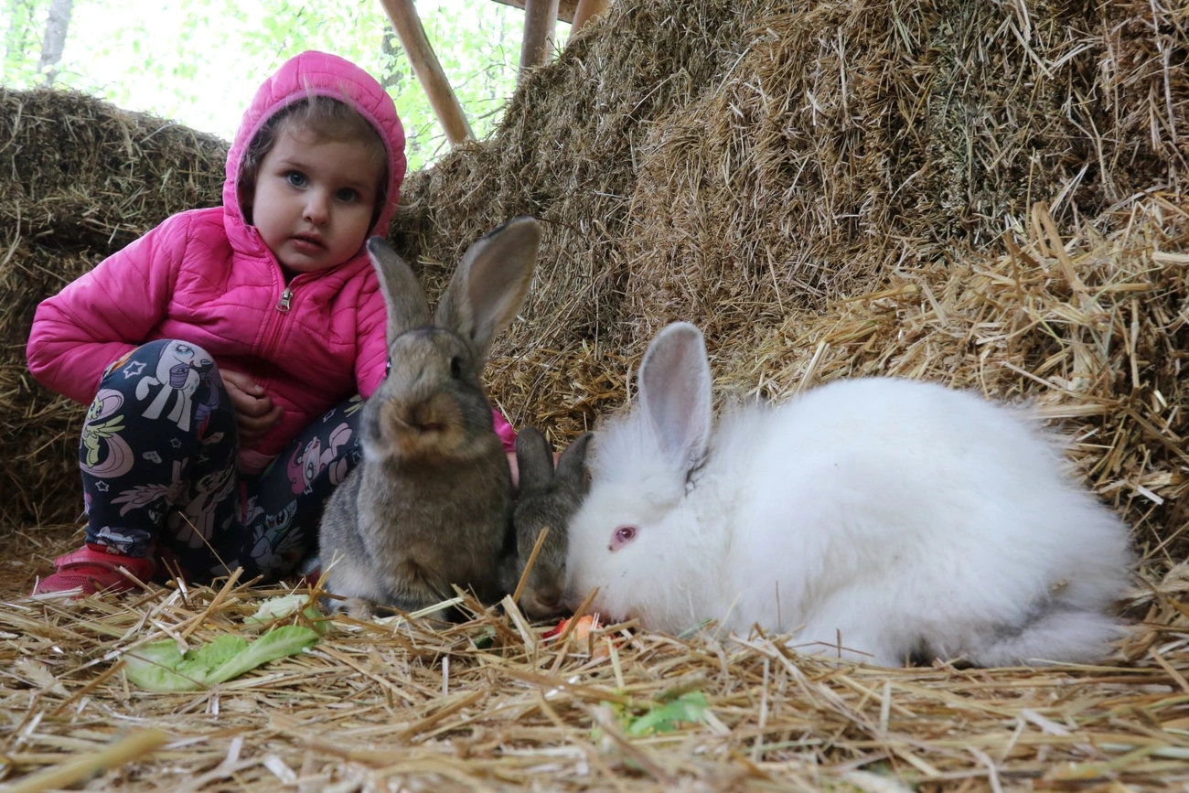 Föld napja és nyuszisimogató az állatkertben