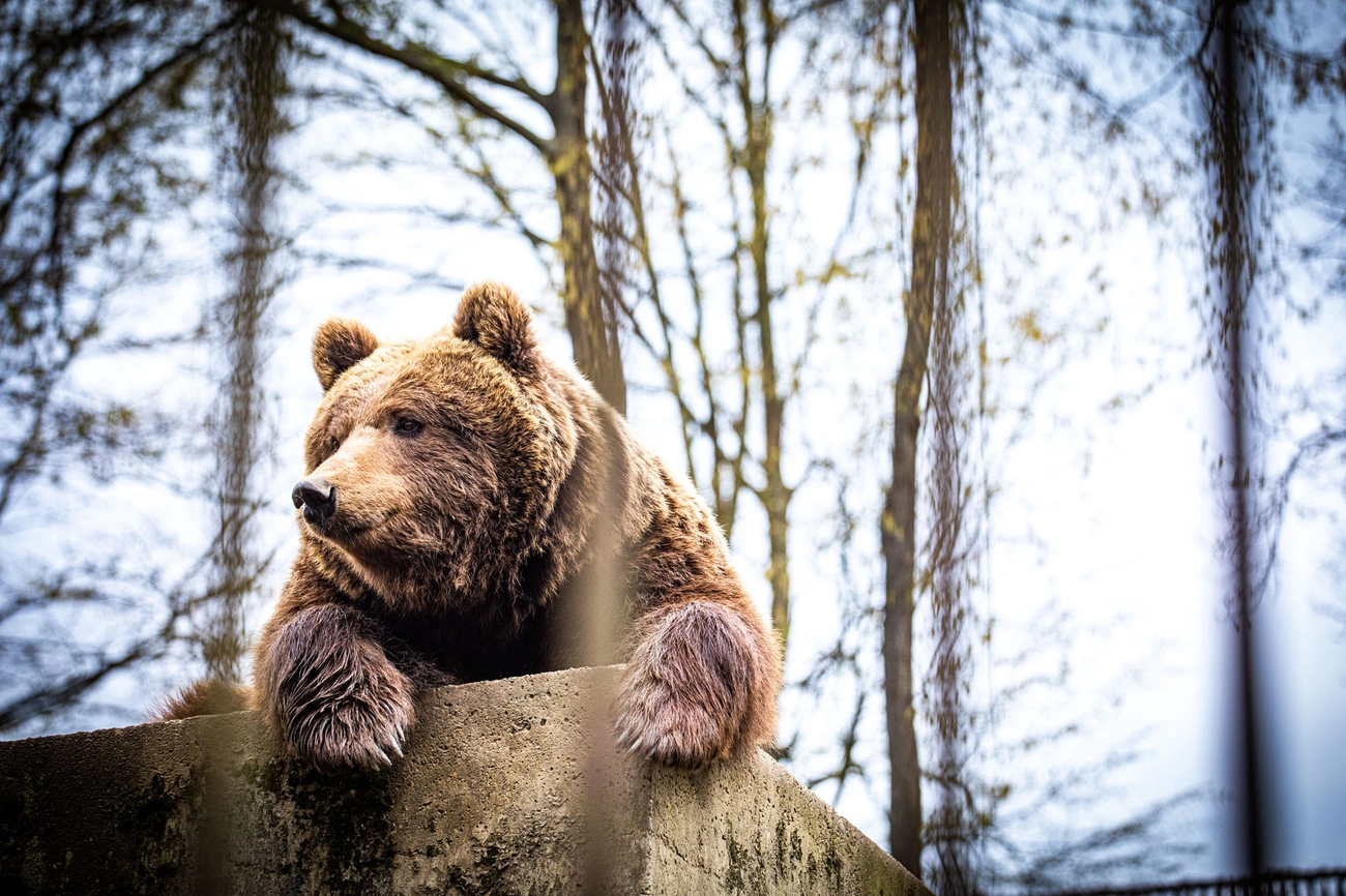 Húsvét az állatkertben 