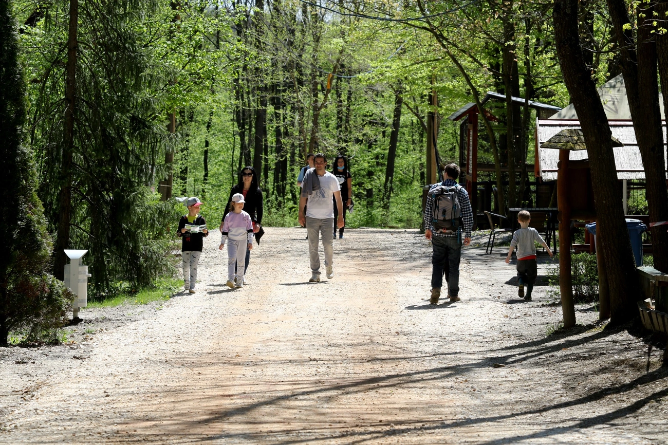 Kinyitott a miskolci állatkert 