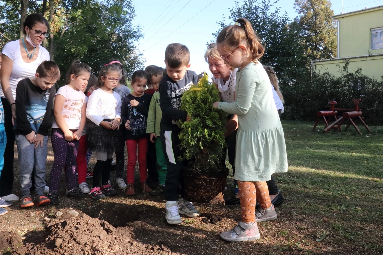 Komposztálás és tuja ültetés a Szent Miklós Görögkatolikus Óvodában