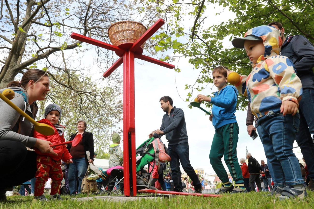 Könyvtári majális 