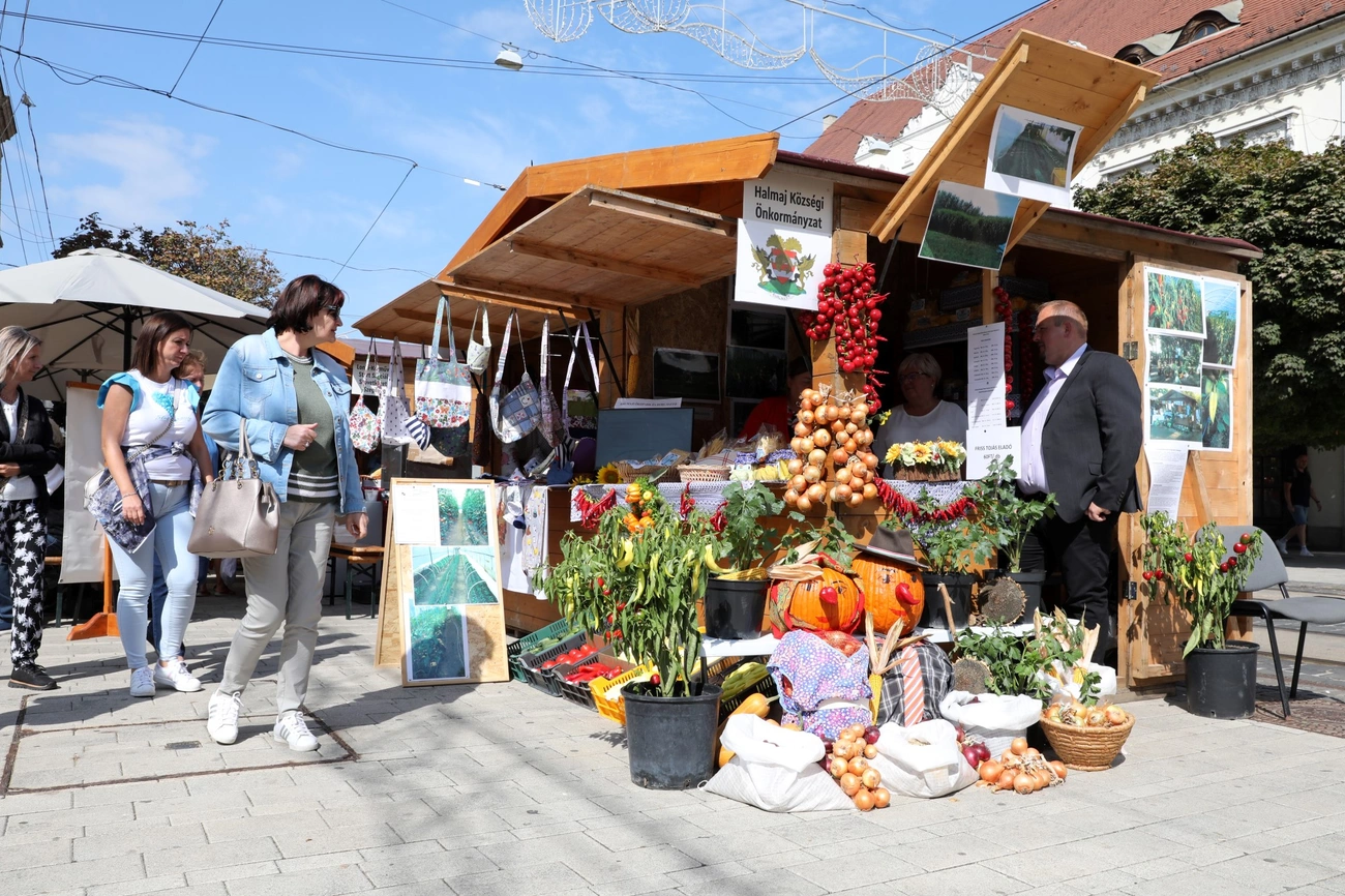 Közfoglalkoztatási kiállítás és vásár 
