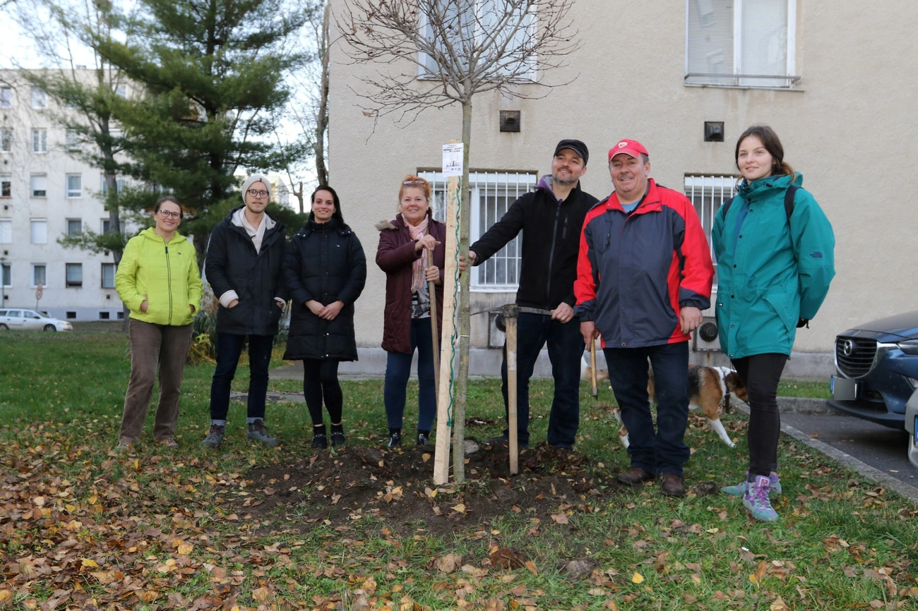 Közösségi faültetés a Dél-Kiliánban 
