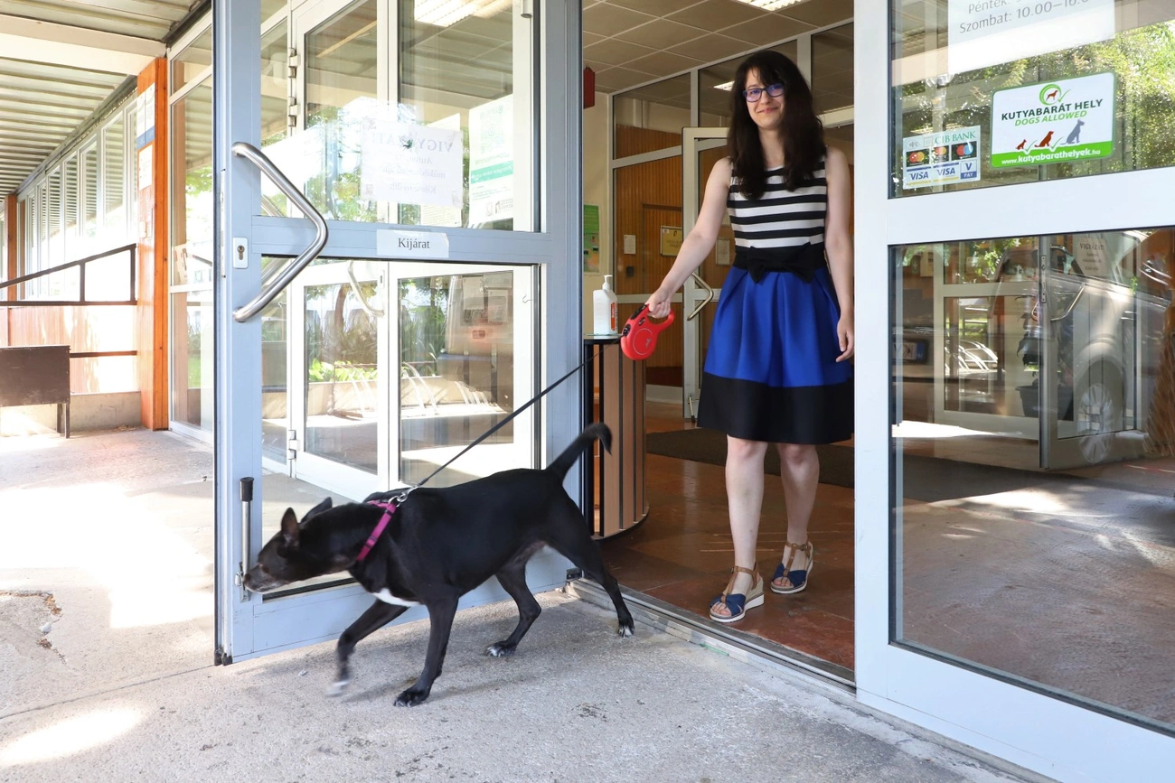 Kutyabarát lett a megyei könyvtár 