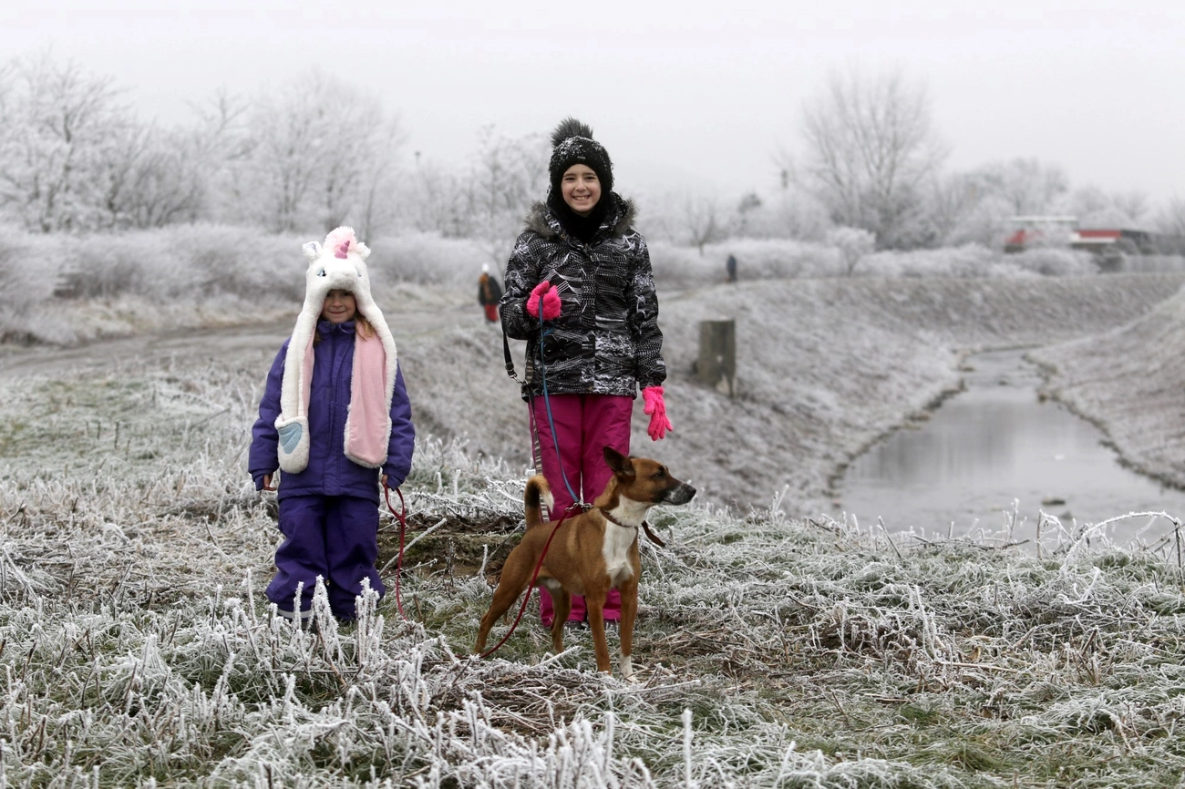 Kutyaséta télen is 