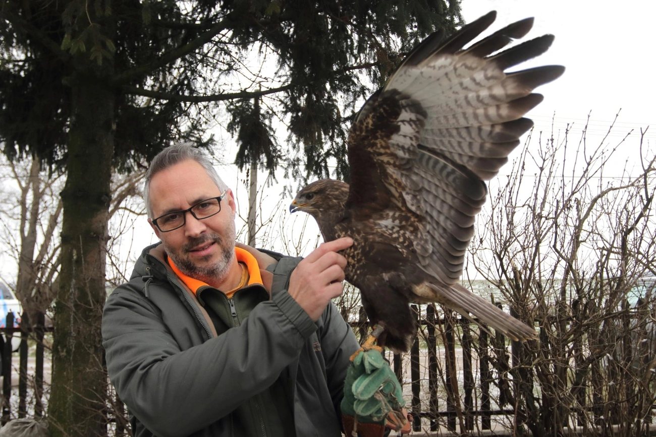 Lehoczky Krisztián, a mályi madármentő 