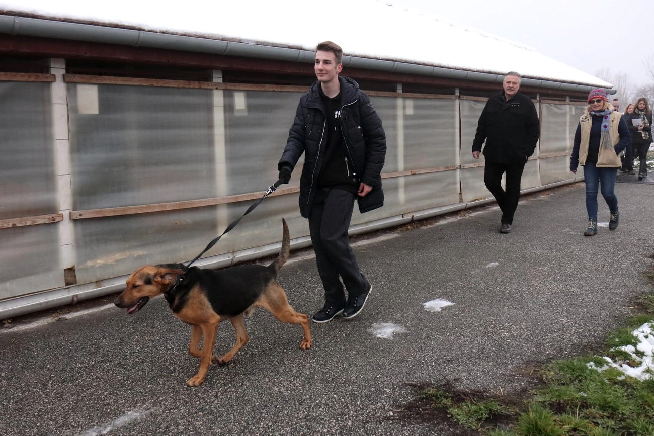 Látogatás a Miskolci Állatsegítő Alapítványnál 