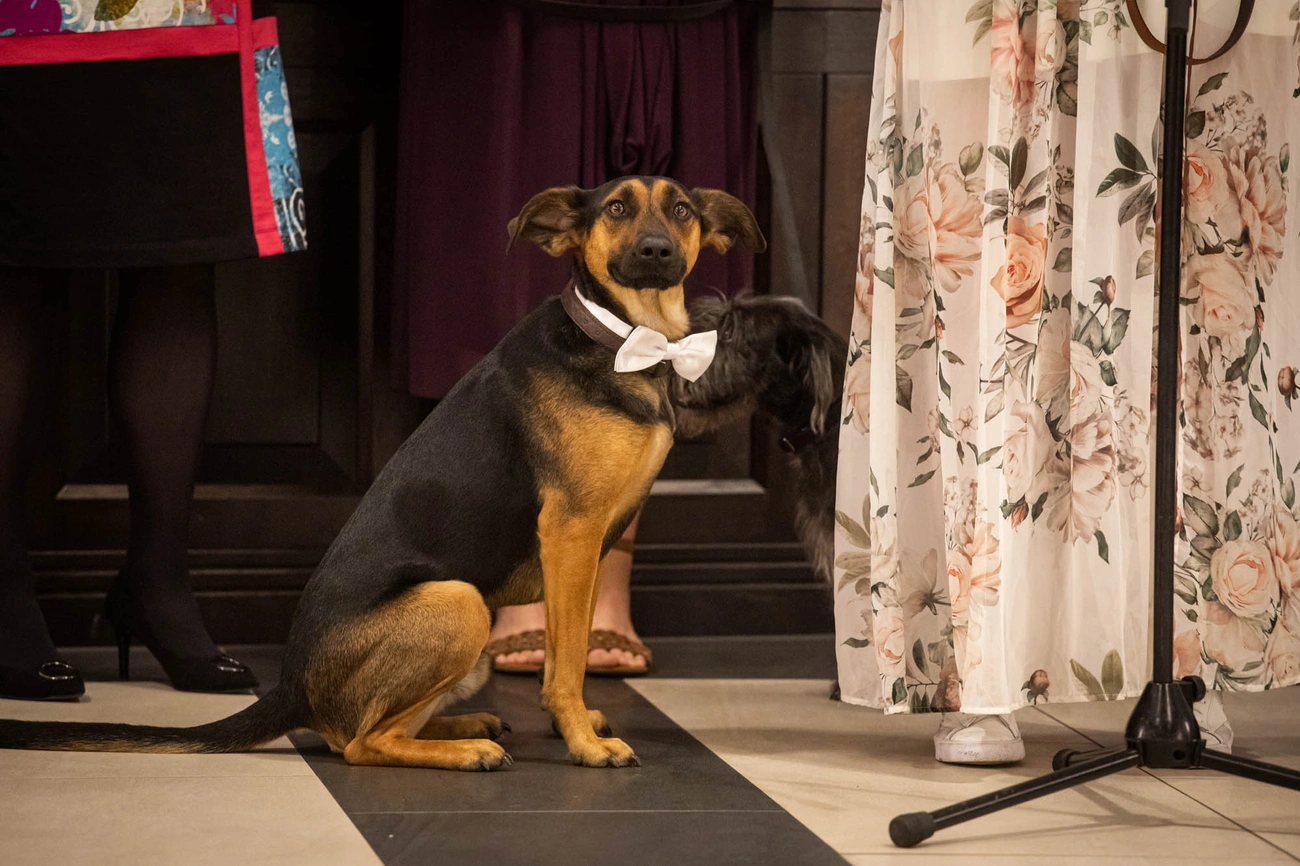  MÁSA bál a Vigadóban 