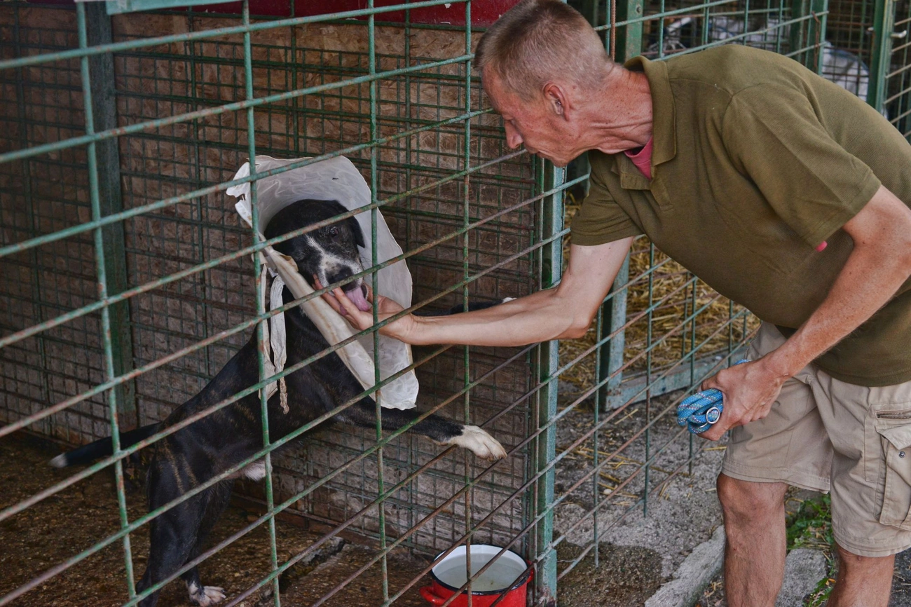 Második Esély Alapítvány 