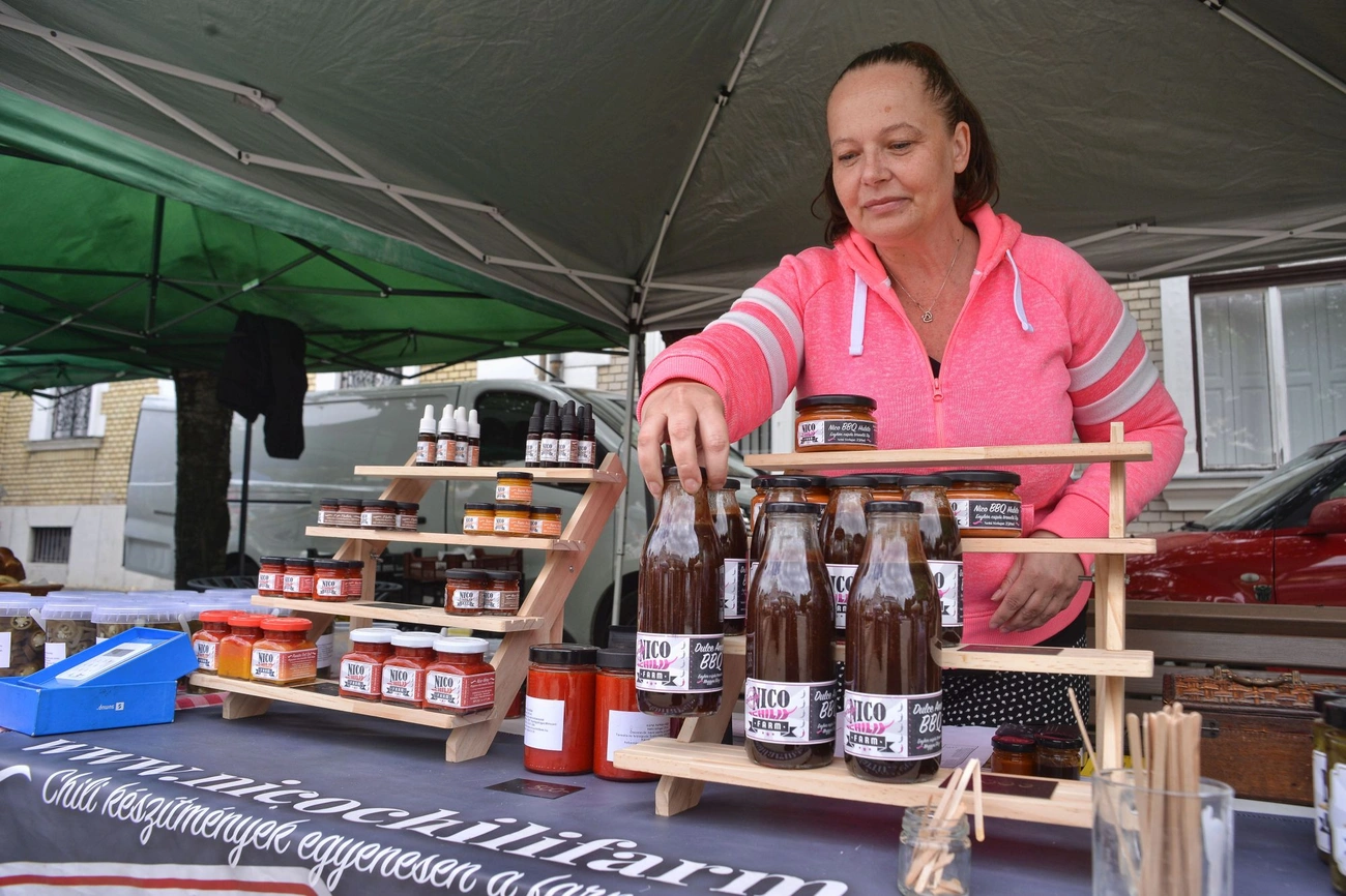 Miskolci Termelői Nap 
