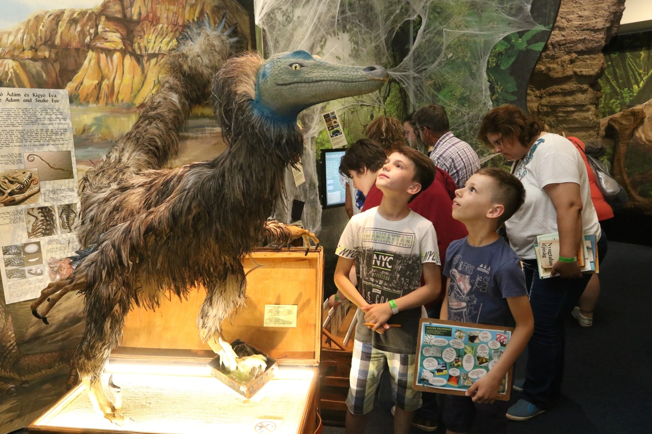 Múzeumok Éjszakája 