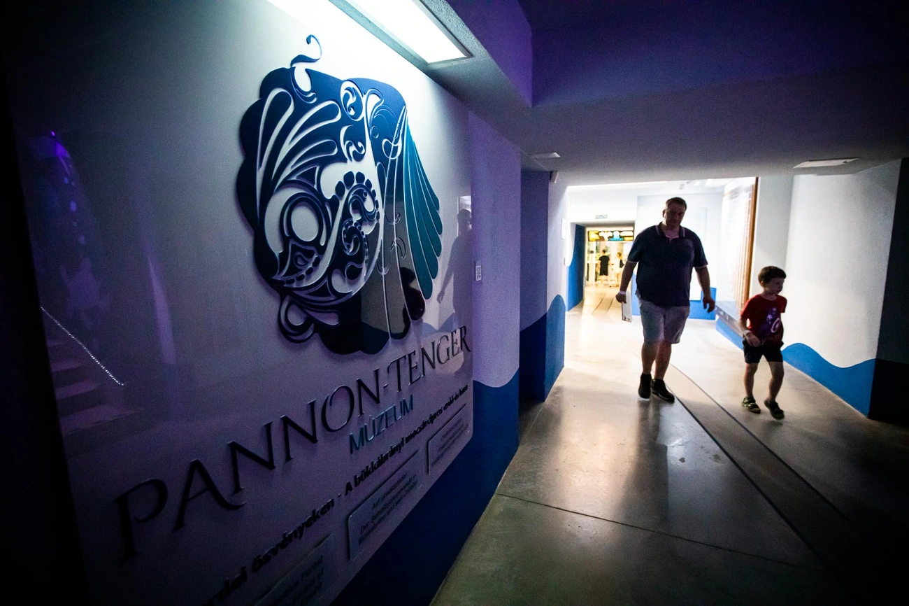 Múzeumok éjszakája Miskolcon  