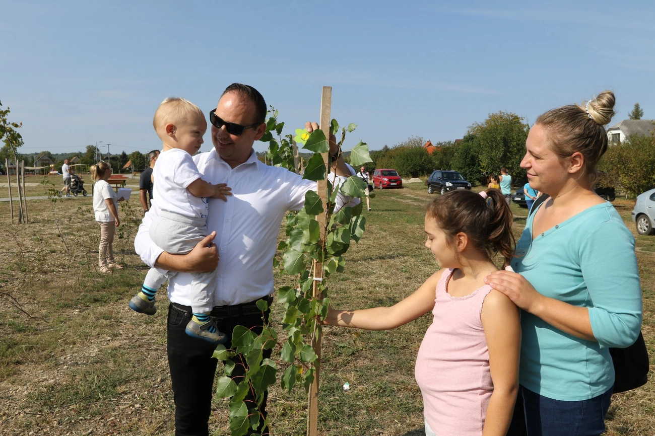 Csemetenap Nyékládházán 