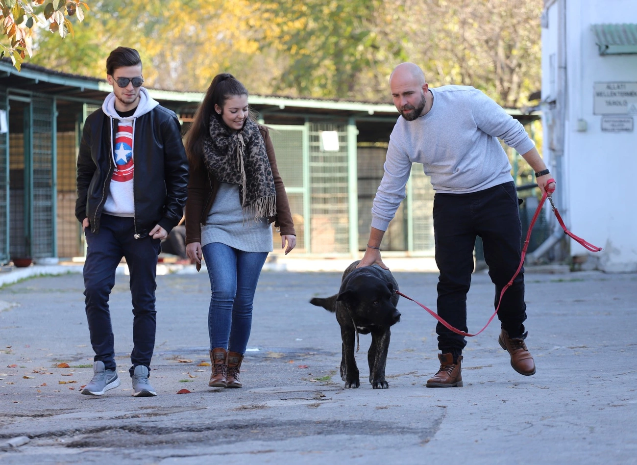 150. nyílt nap a Miskolci Állategészségügyi Telepen