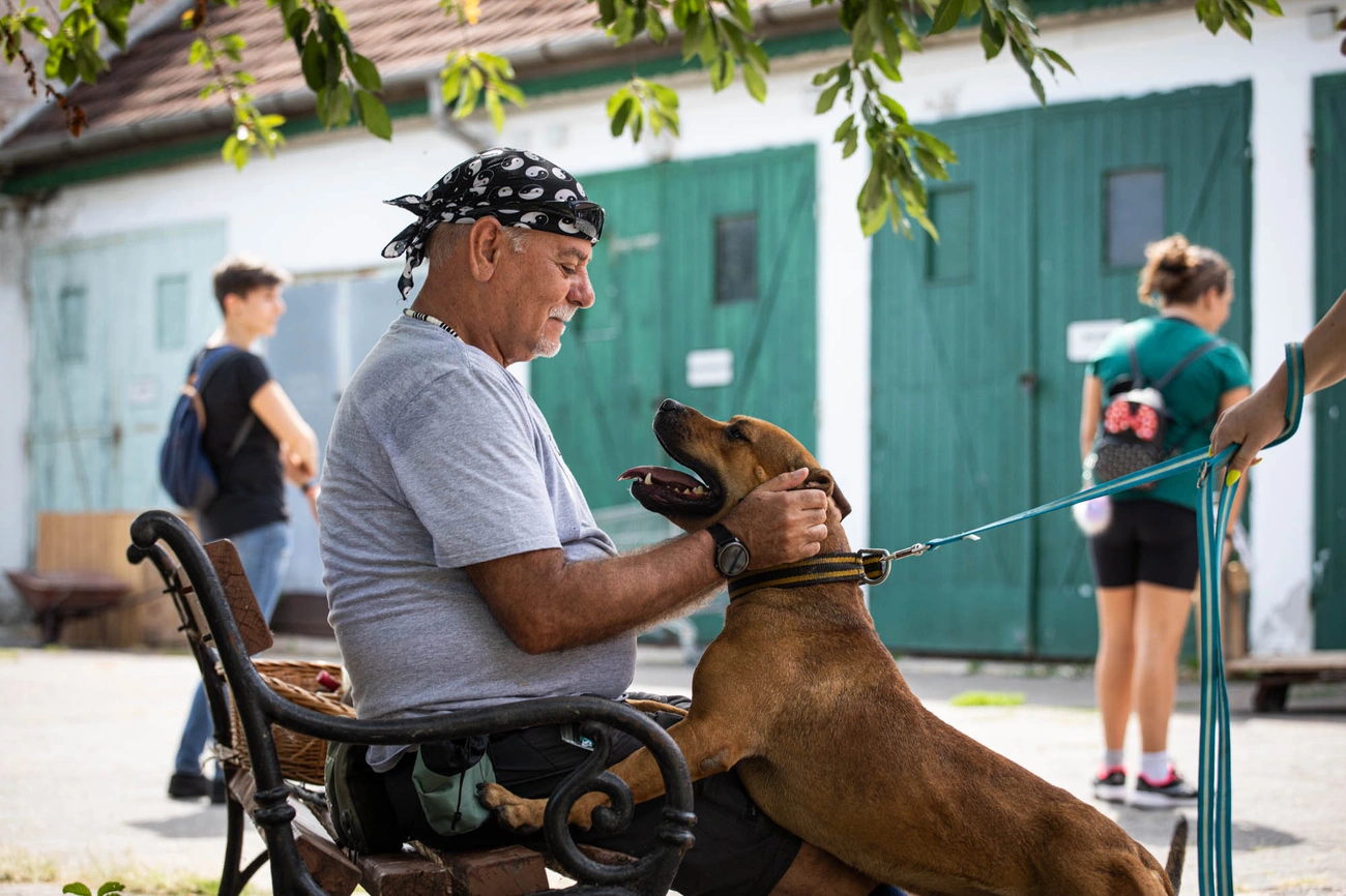 Nyílt nap az Állategészségügyi Telepen 
