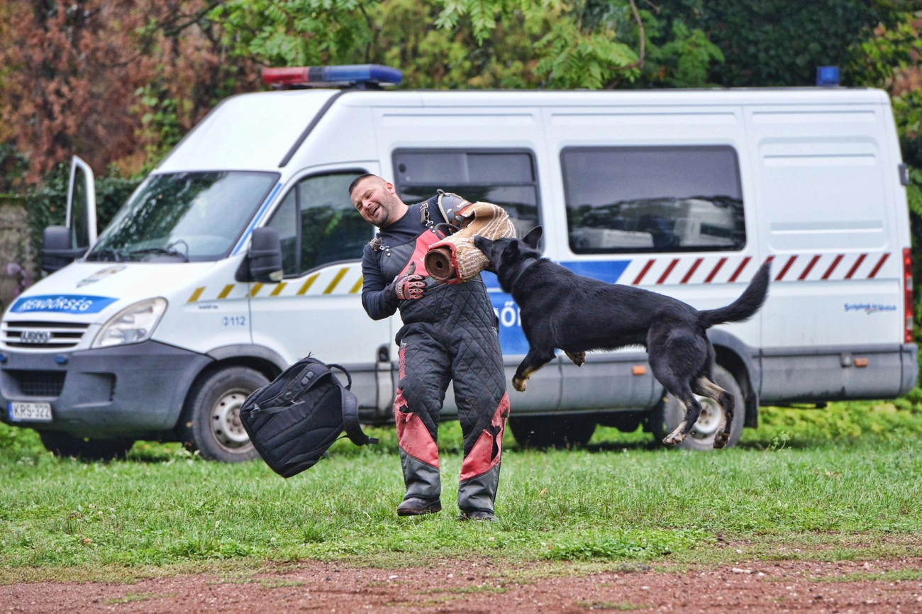 II. Nyilvános rendőrkutya kiképzés 