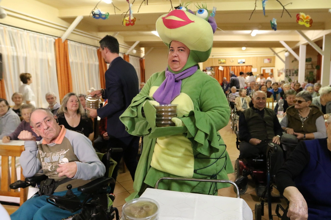 Kocsonya-kóstoló az időseknek 