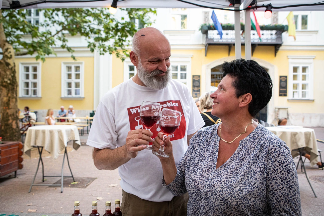 Bükki Borok Napja- Polgármester bora díjátadó