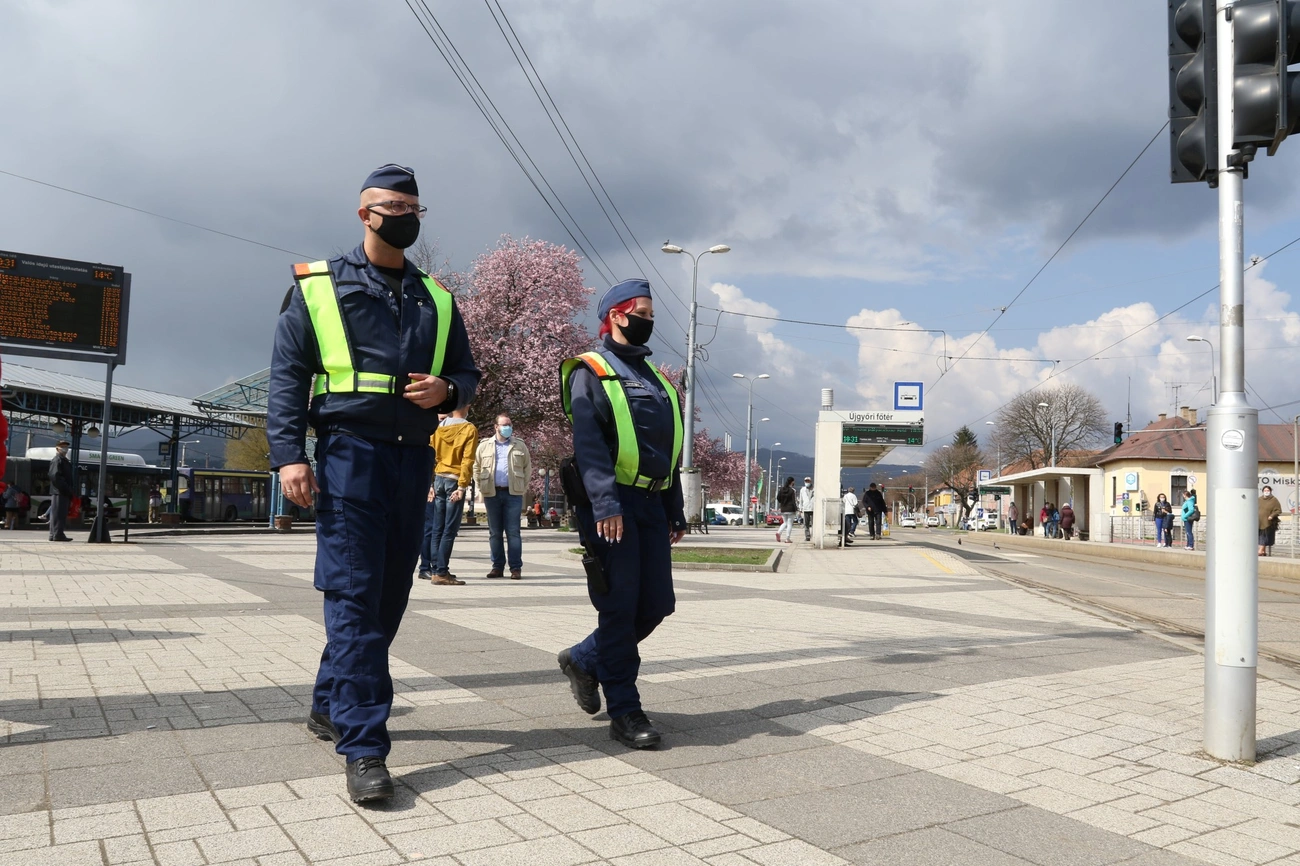 Rendészeti ellenőrzés