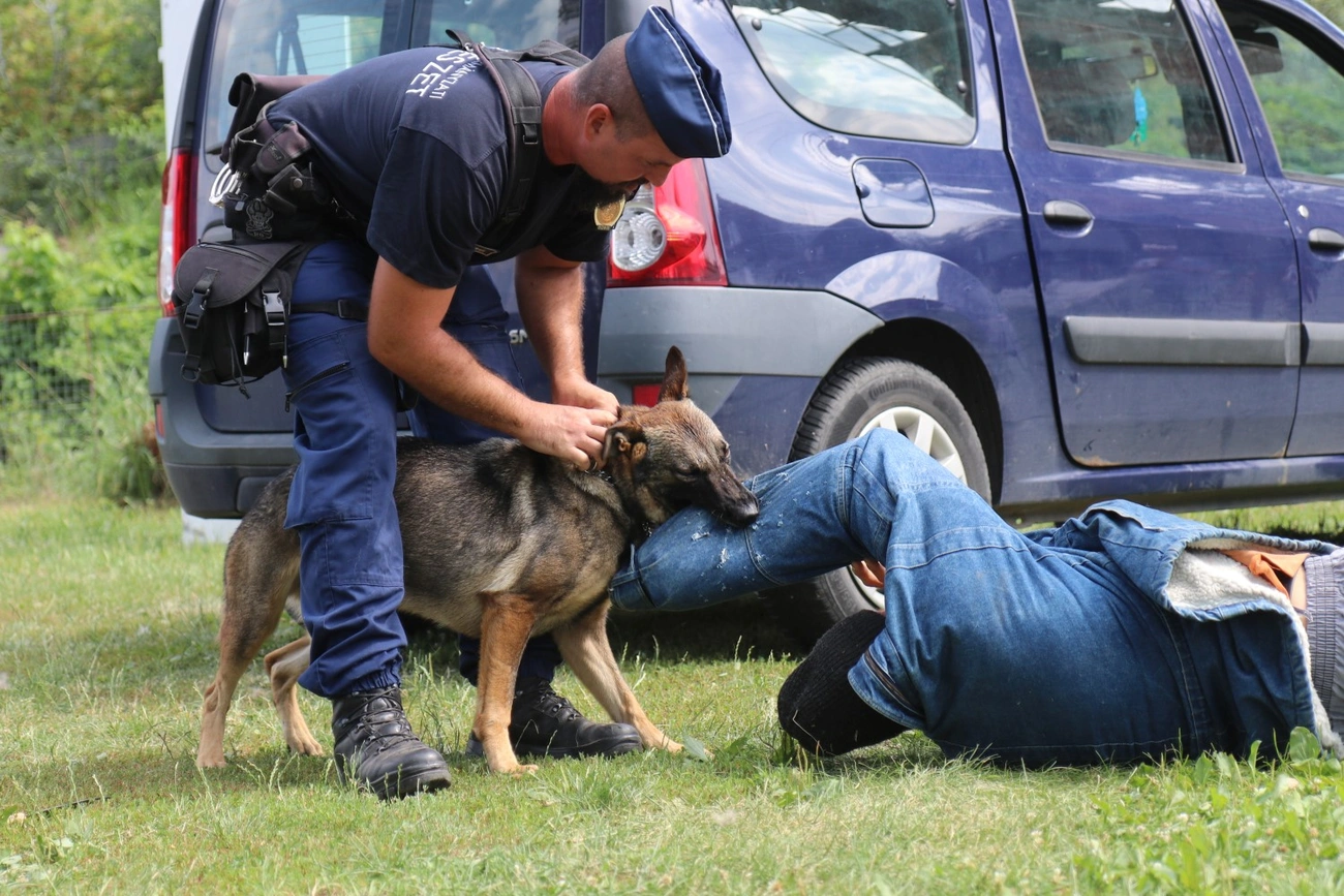 Rendvédelmi szolgálati kutya vizsga a Spider Mentőcsoportnál 