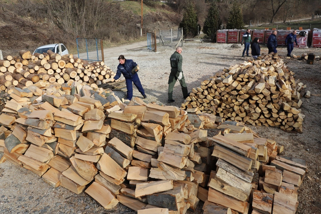 Rendészek tűzifa aprítása a Baráthegyi Majorságban 