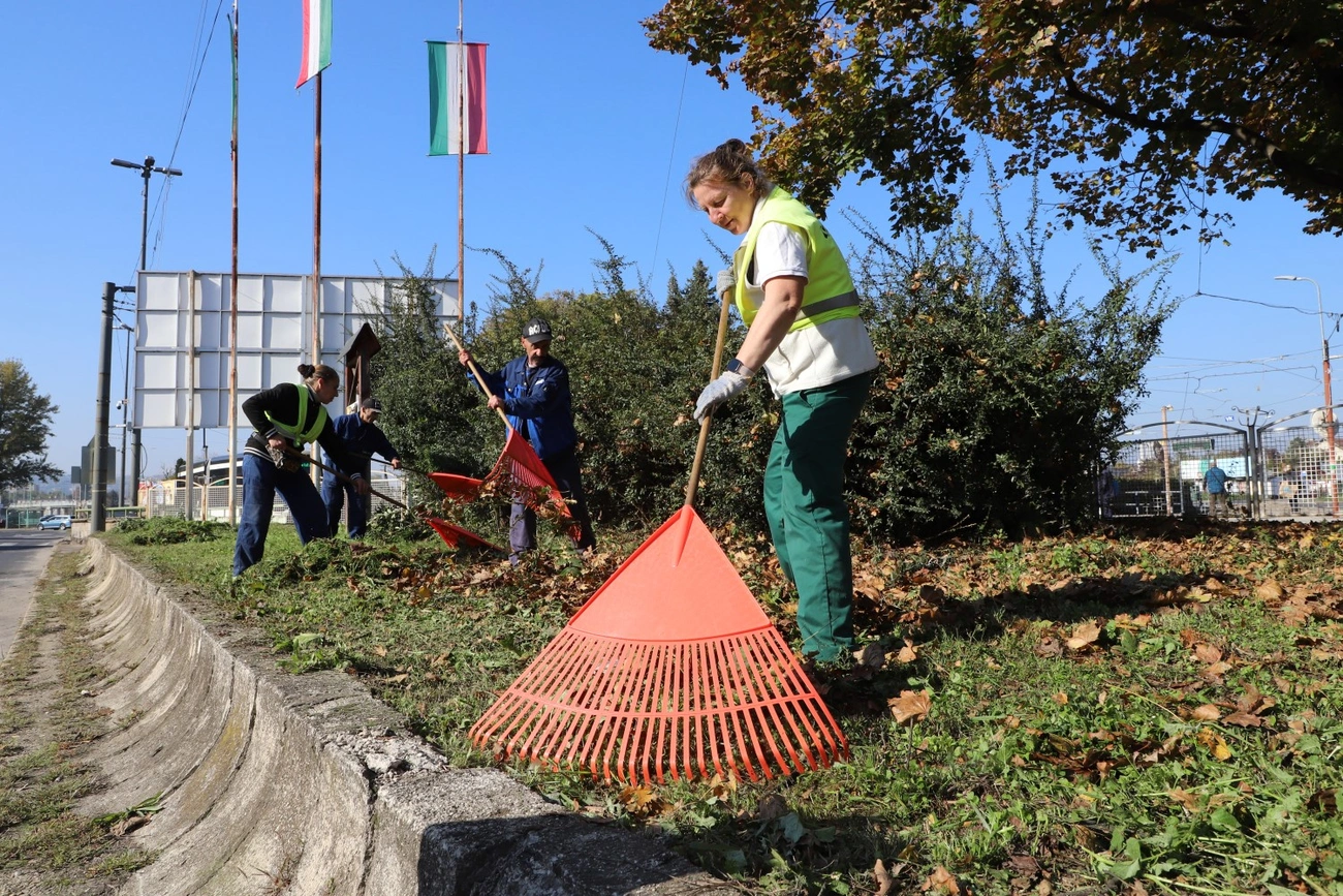 A Városgazda őszi nagytakarítása a Tiszain