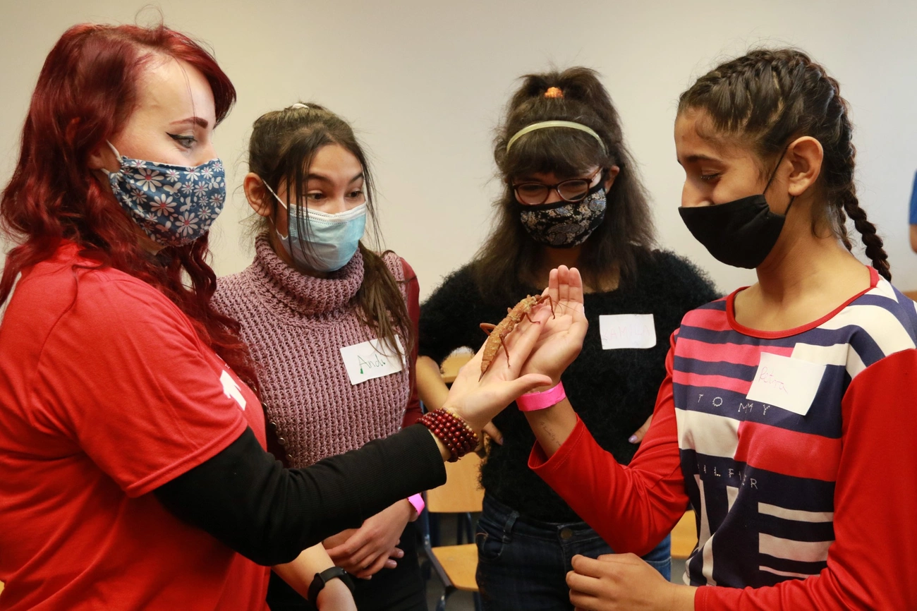 Tanítsunk Magyarországért mentori ösztöndíjprogram Miskolcon