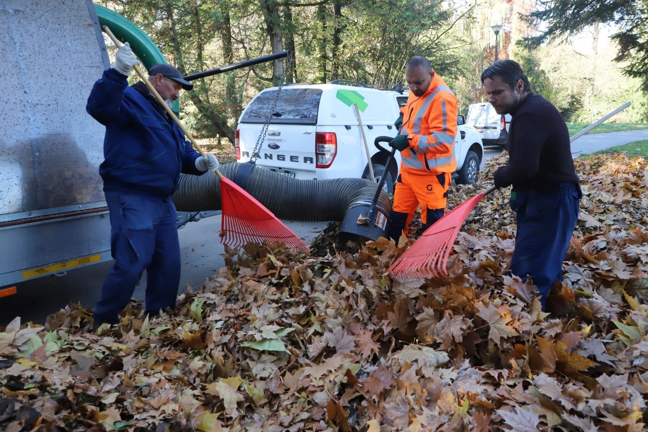 Városgazda: Őszi nagytakarítás és virágosítás Tapolcán 