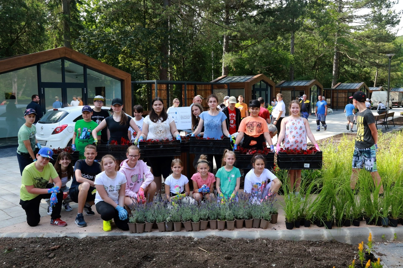 Virágültetés Miskolctapolcán 