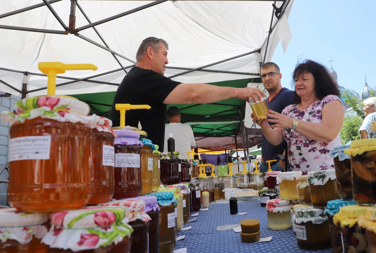 Termelői Nap az Erzsébet téren 