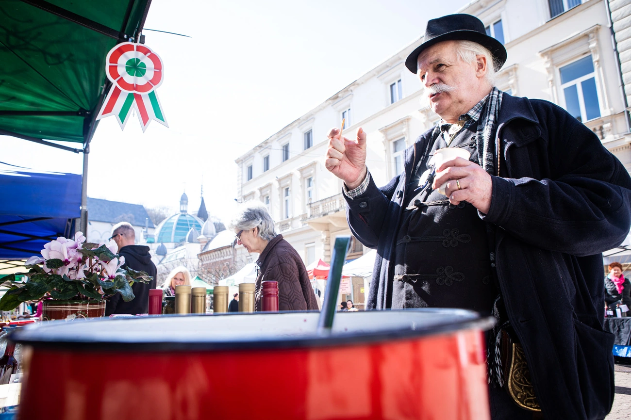 Termelői nap az Erzsébet téren 