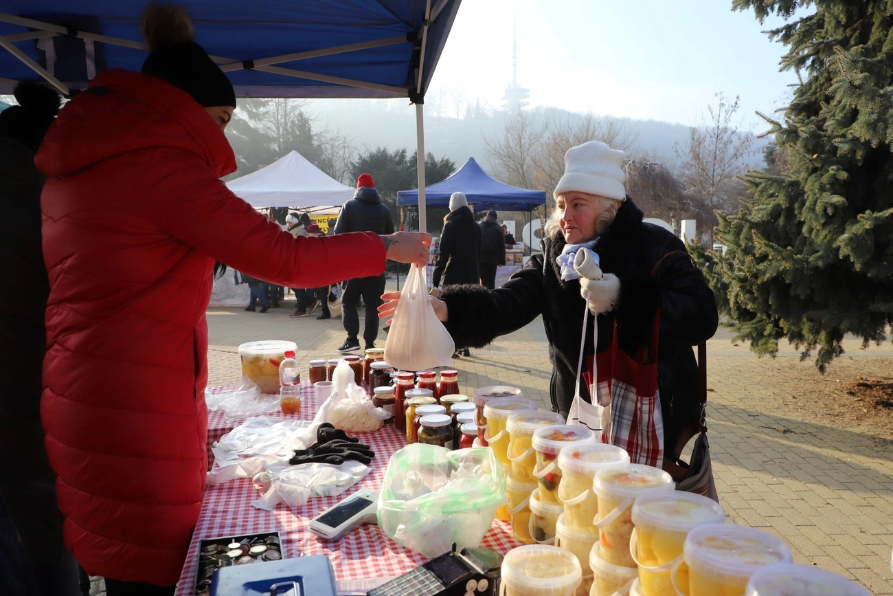 Termelői nap a Szent István téren 