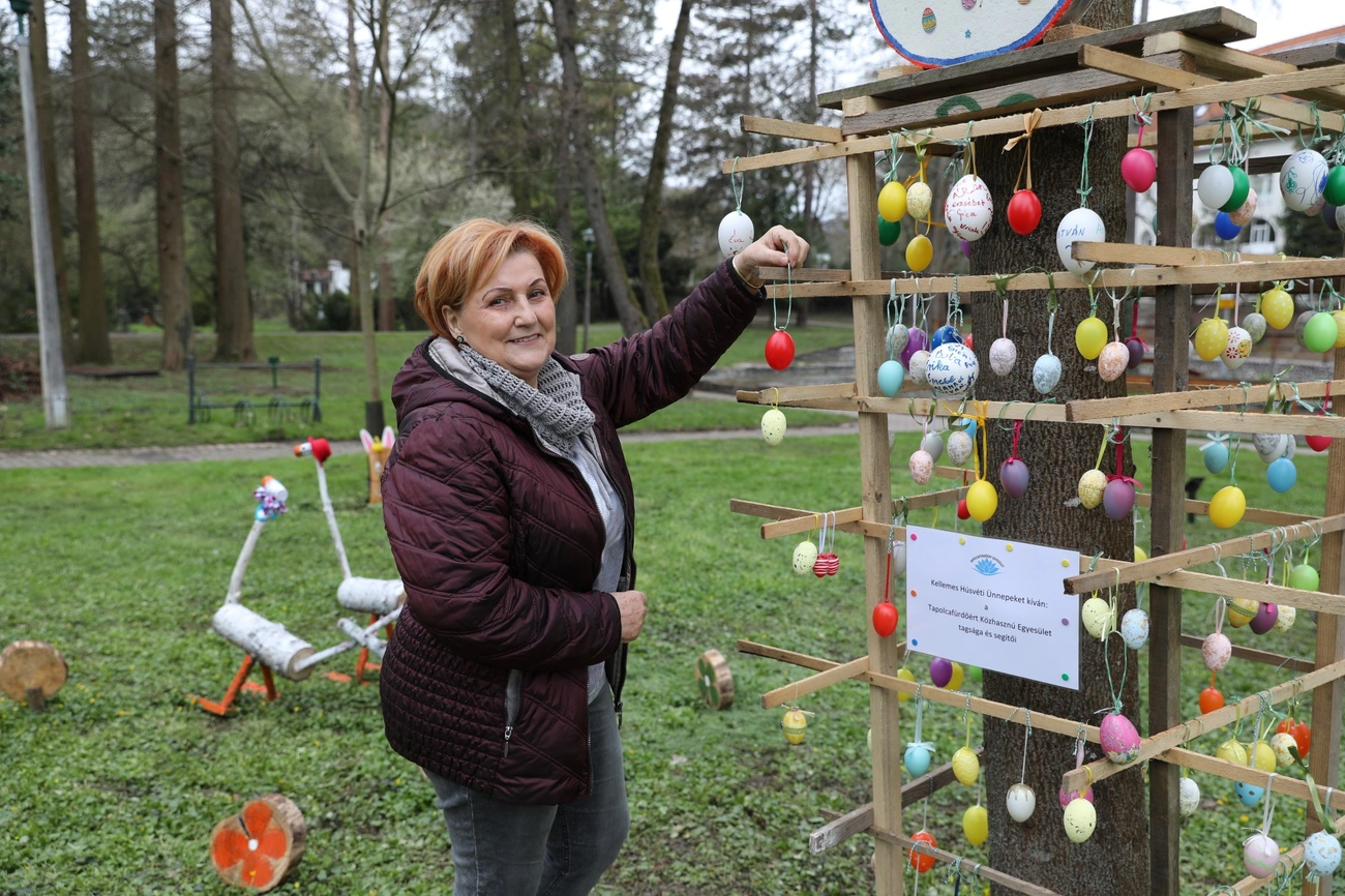 Tojásfa Miskolctapolcán 