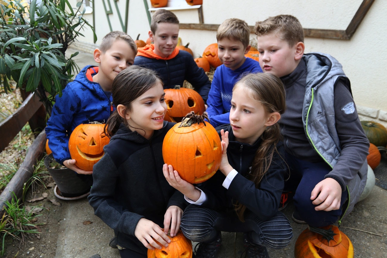 Töklámpások készülnek a miskolci állatkertben 