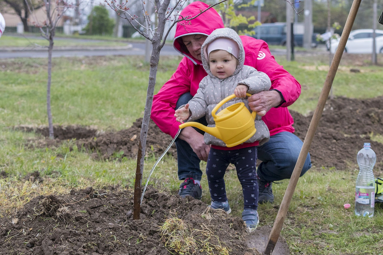 Ünnepélyes faültetés az Újszülöttek parkjában