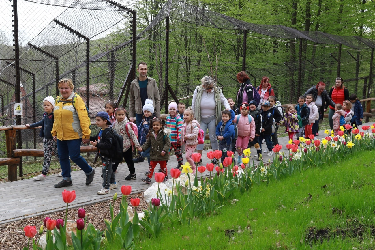Óvodások látogathattak a Miskolci Állatkertbe 
