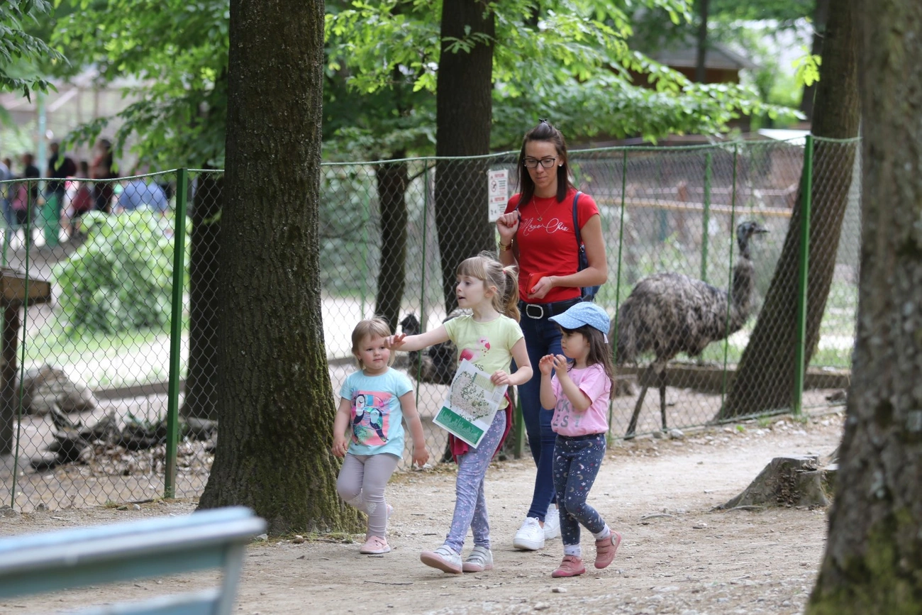 Újra fogadhat látogatókat a Miskolci Állatkert és Kultúrpark