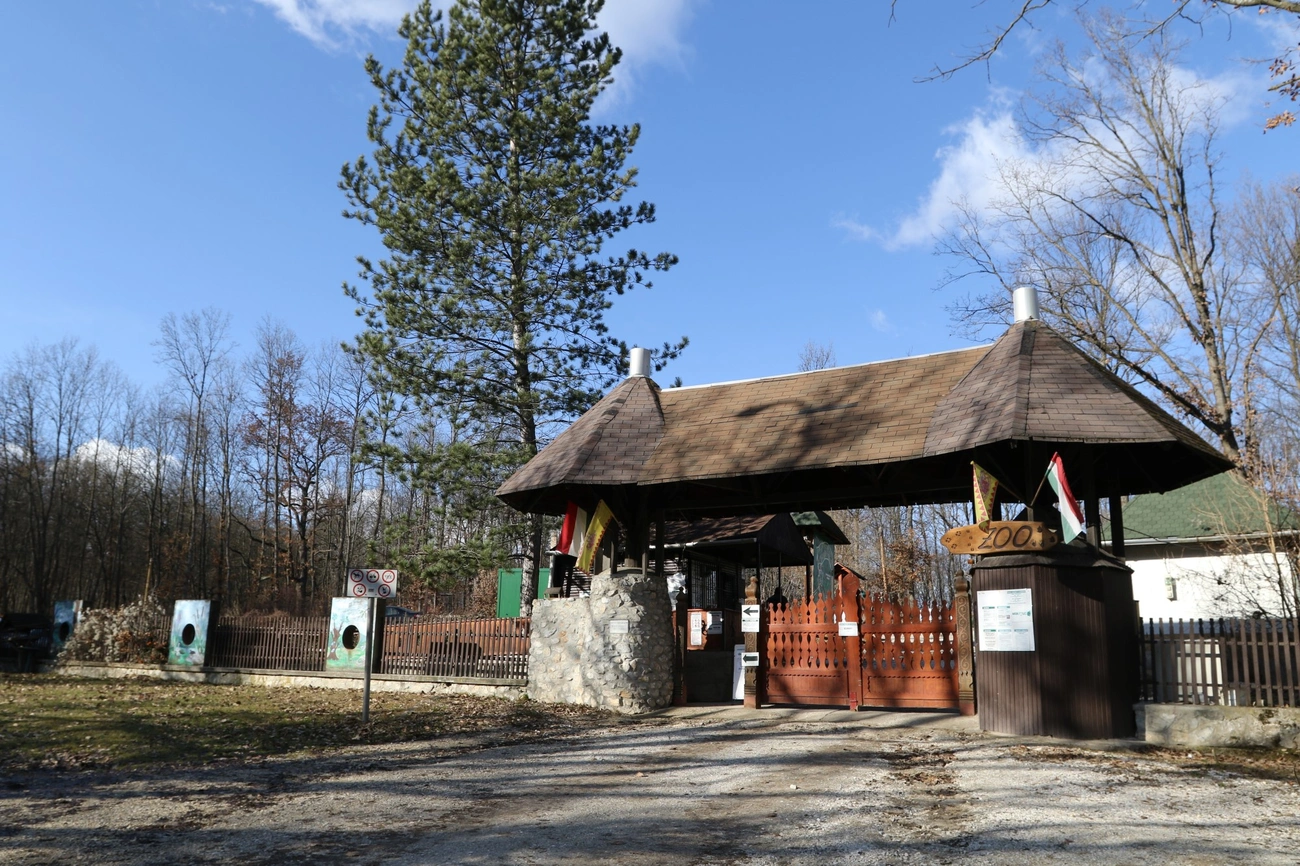 Új attrakciók a Miskolci Állatkertben sajtótájékoztató 