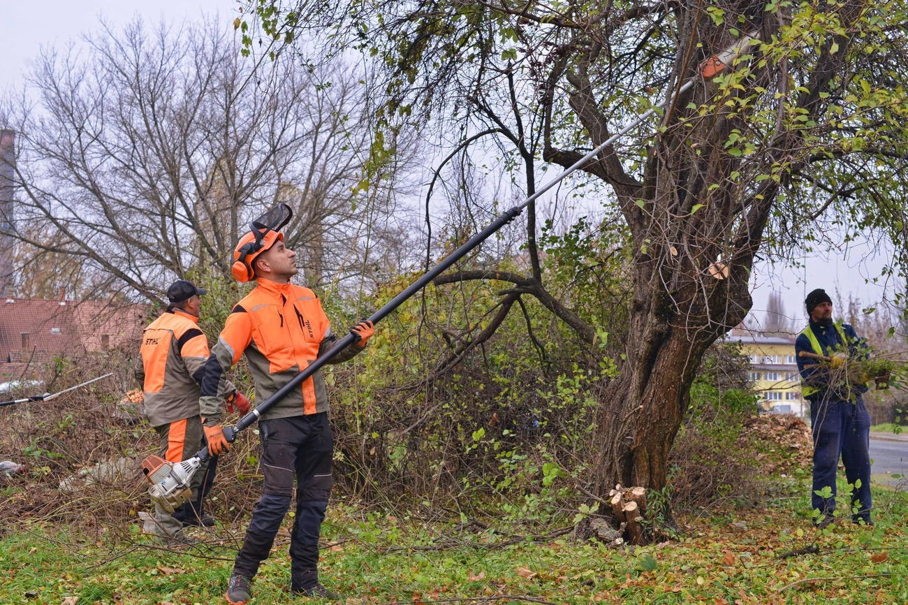 Városgazda őszi nagytakarítás: Vasgyár 