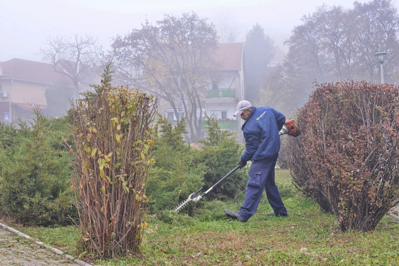 Városgazda őszi nagytakarítás: Megyei kórház – Katowice 