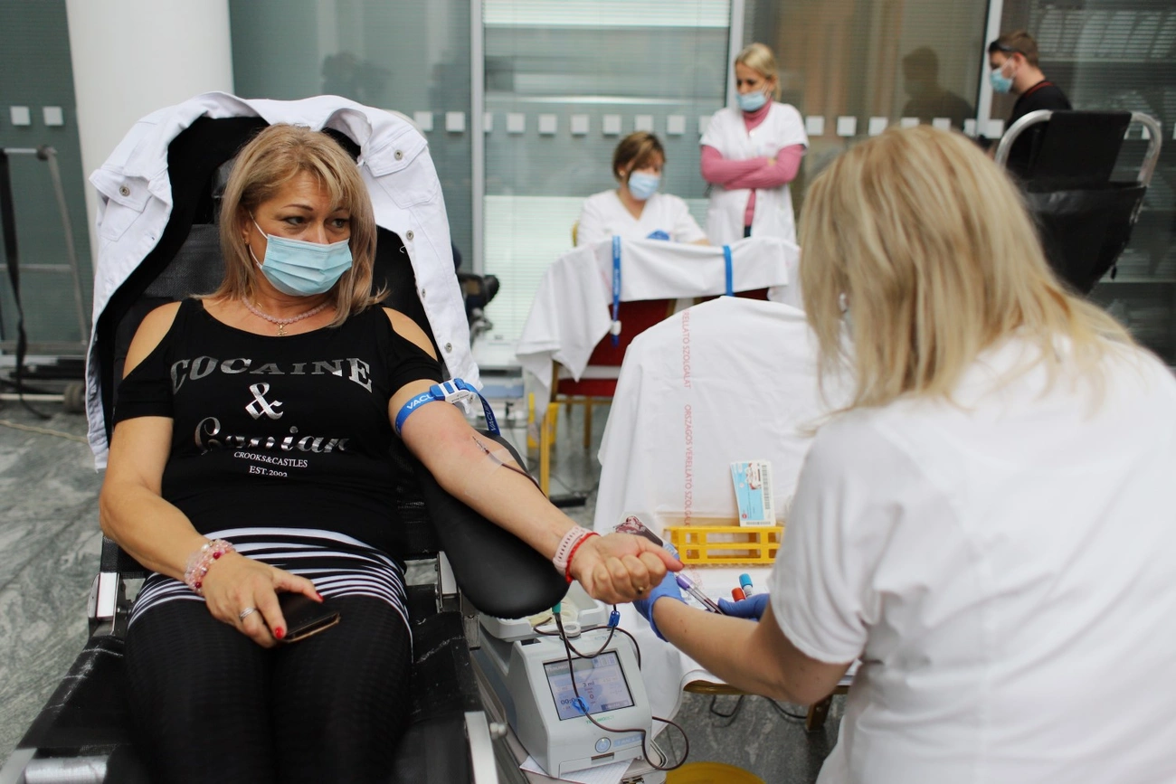 Véradás a városházán 