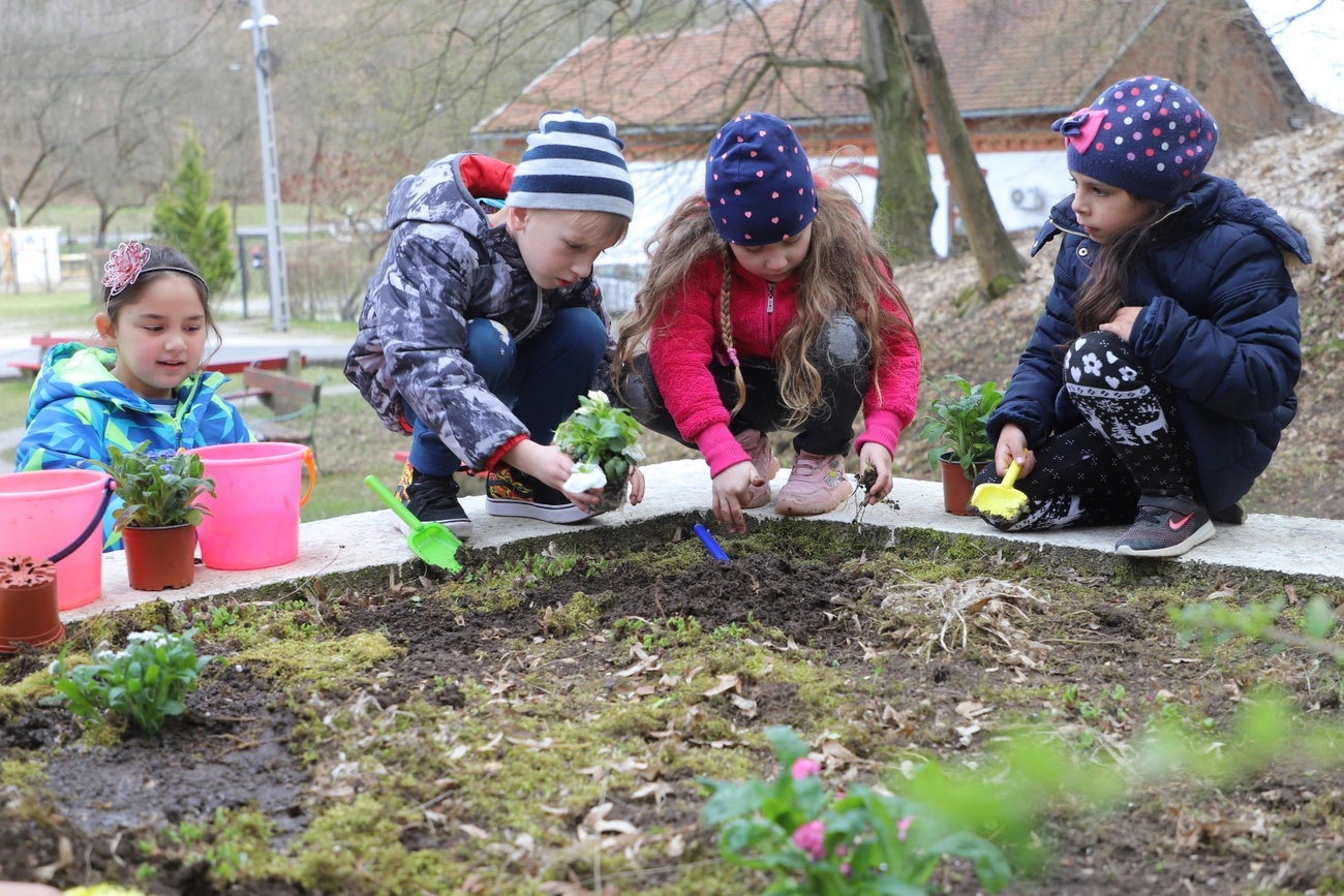 Virágültetés a Vilma-forrásnál 