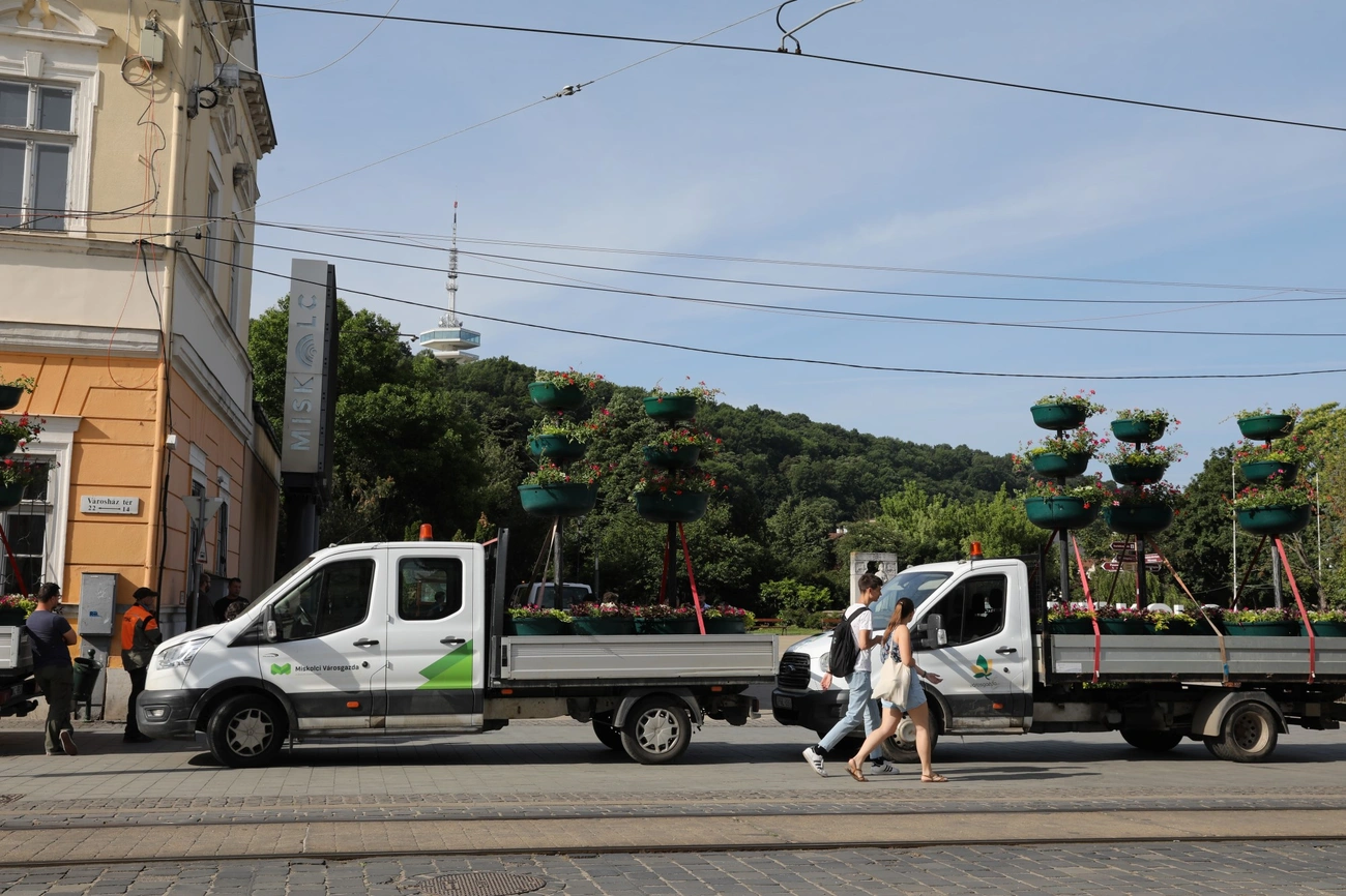 Virágfák kihelyezése 