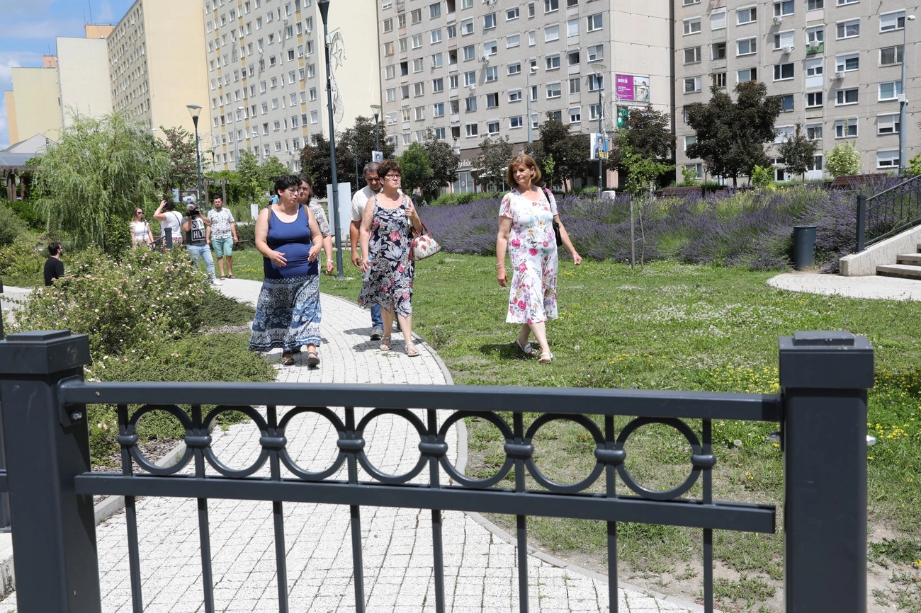 Virágos Magyarország zsűrije Miskolcon 